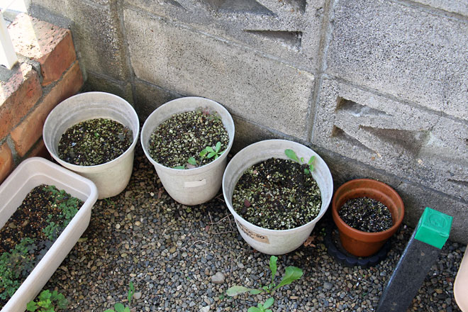 f:id:takahikonojima:20190629190438j:plain