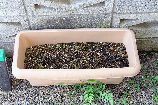 f:id:takahikonojima:20190629190444j:plain