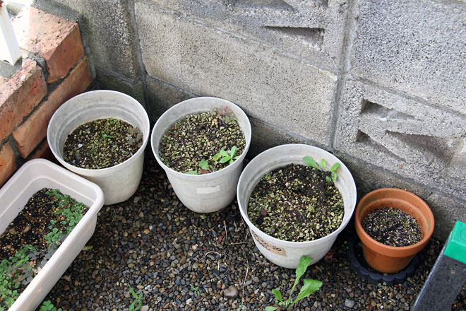 f:id:takahikonojima:20190629190502j:plain