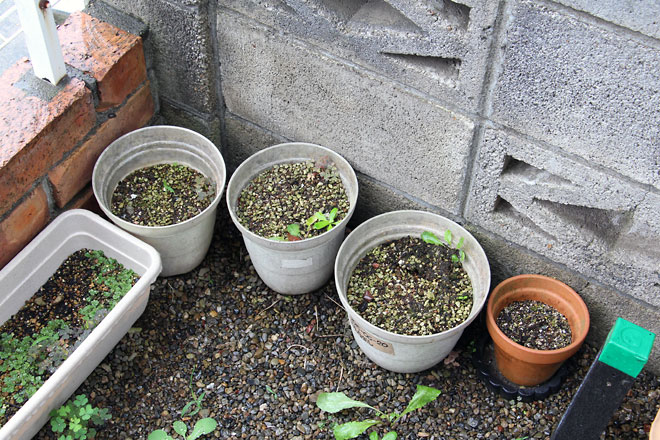 f:id:takahikonojima:20190629190516j:plain