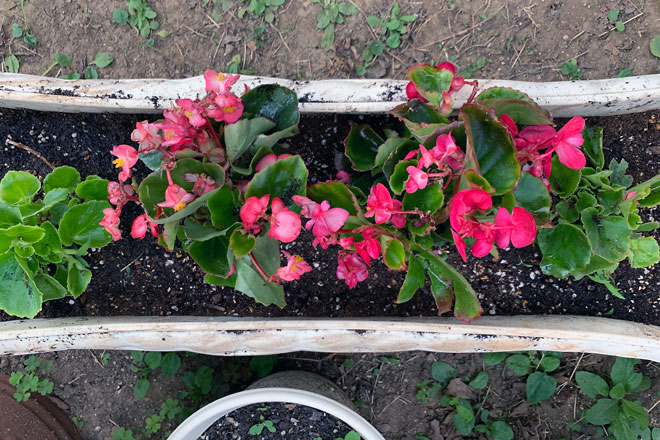 f:id:takahikonojima:20190630153039j:plain