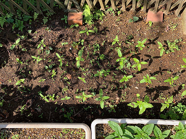 f:id:takahikonojima:20190630153140j:plain