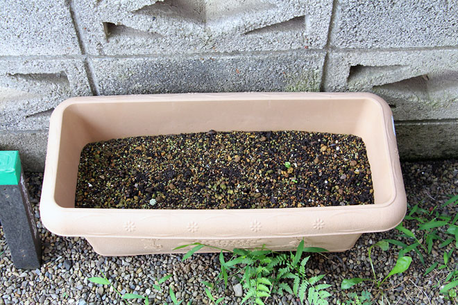 f:id:takahikonojima:20190708215051j:plain