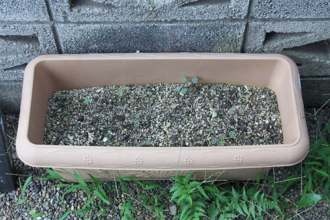 f:id:takahikonojima:20190810112003j:plain