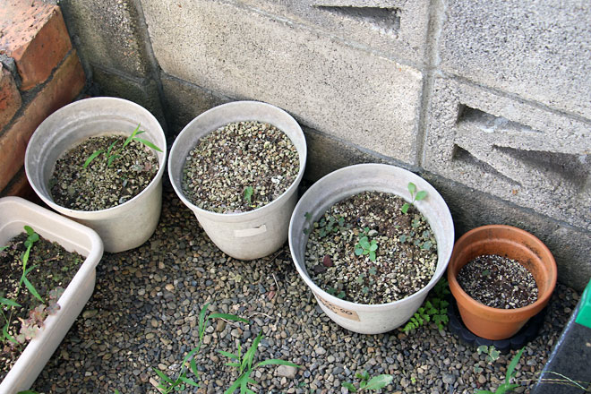 f:id:takahikonojima:20190810112008j:plain