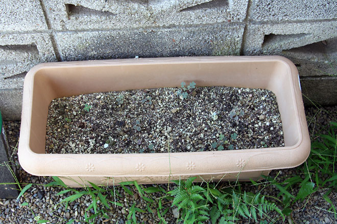 f:id:takahikonojima:20190810112028j:plain