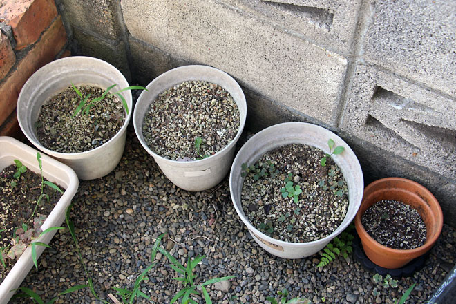 f:id:takahikonojima:20190810112035j:plain