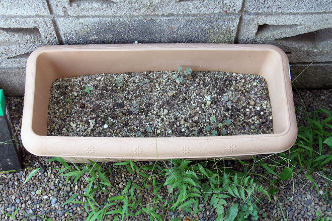 f:id:takahikonojima:20190810112041j:plain