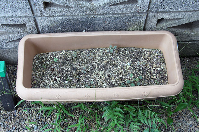 f:id:takahikonojima:20190810112053j:plain