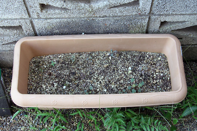 f:id:takahikonojima:20190810112103j:plain