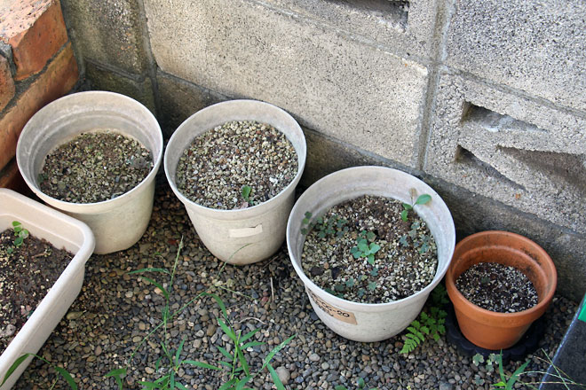 f:id:takahikonojima:20190810112109j:plain