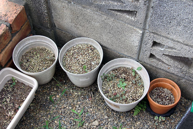 f:id:takahikonojima:20190817194504j:plain