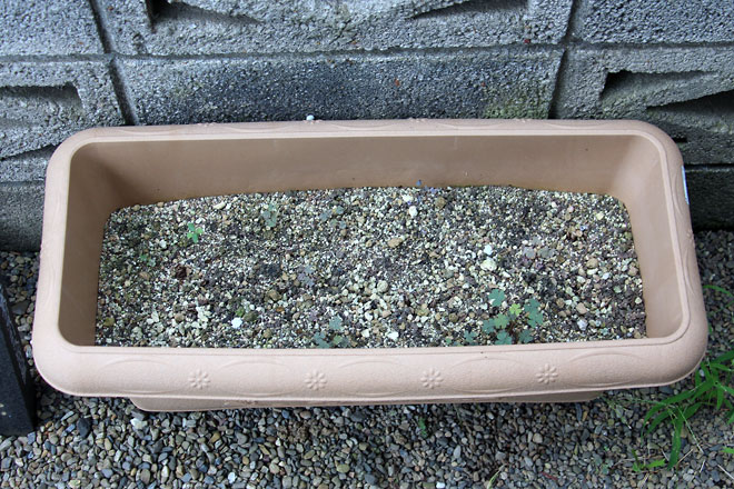 f:id:takahikonojima:20190817194511j:plain