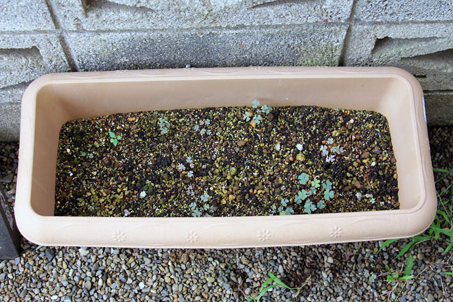 f:id:takahikonojima:20190817194535j:plain