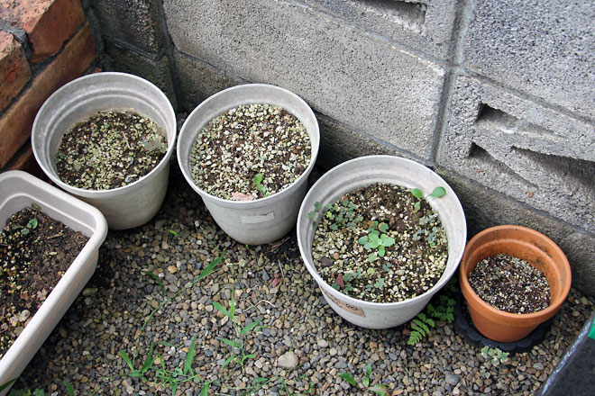 f:id:takahikonojima:20190817194543j:plain