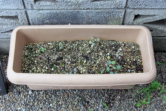 f:id:takahikonojima:20190817194551j:plain