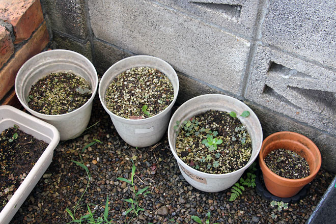 f:id:takahikonojima:20190817194556j:plain