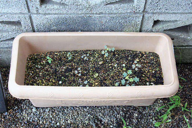 f:id:takahikonojima:20190817194603j:plain