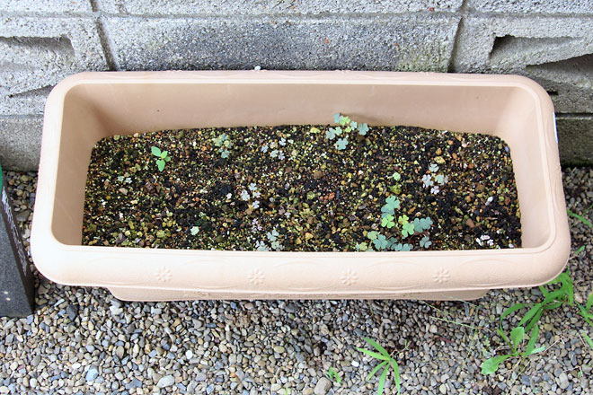 f:id:takahikonojima:20190817194617j:plain