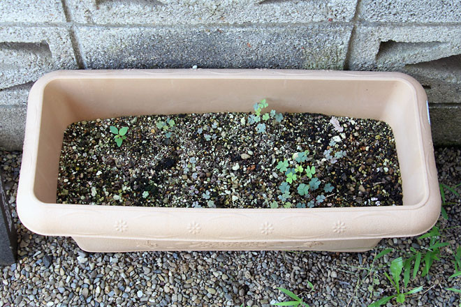 f:id:takahikonojima:20190817194648j:plain