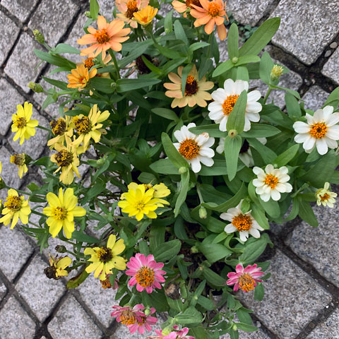 f:id:takahikonojima:20190831225525j:plain