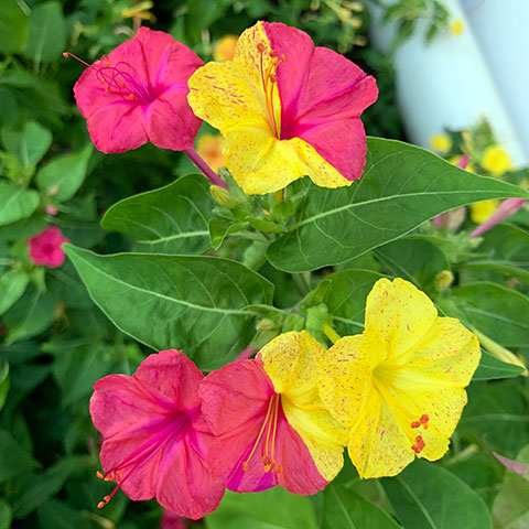 f:id:takahikonojima:20190831225737j:plain