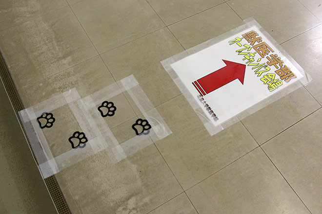 f:id:takahikonojima:20190831225814j:plain