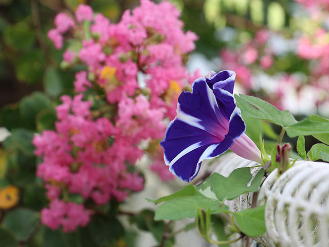 f:id:takahikonojima:20190831225954j:plain