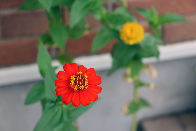 f:id:takahikonojima:20190831230009j:plain