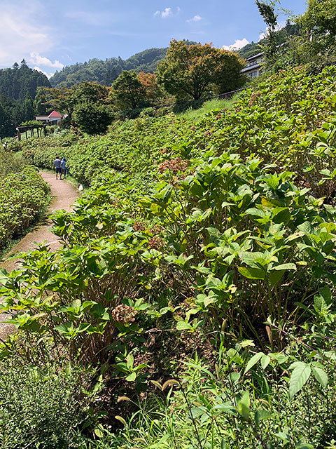 f:id:takahikonojima:20190903172810j:plain