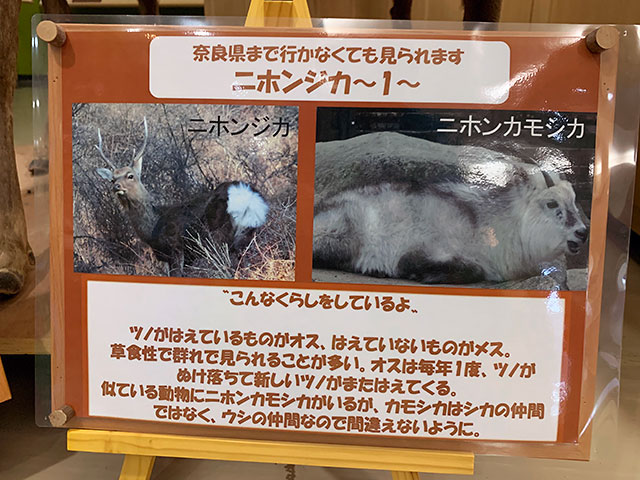 f:id:takahikonojima:20190903172933j:plain