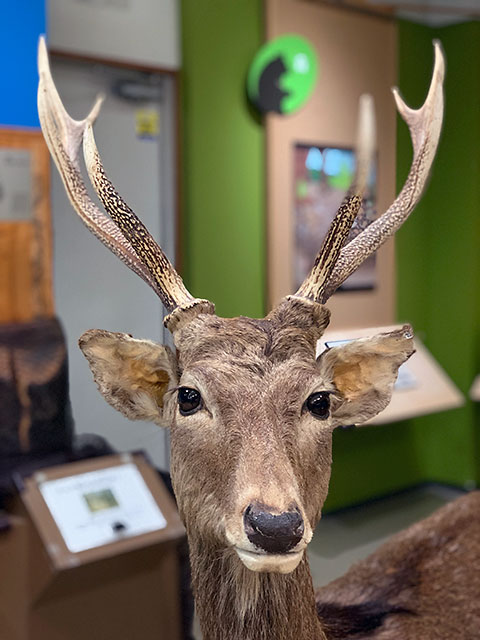 f:id:takahikonojima:20190903172944j:plain