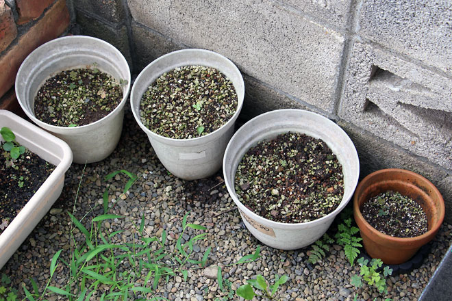 f:id:takahikonojima:20190907083435j:plain