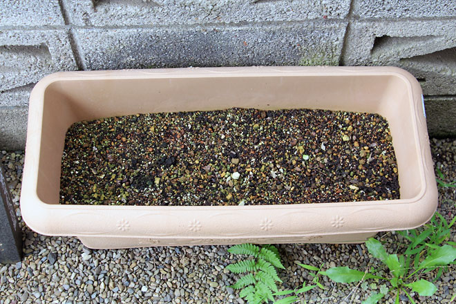 f:id:takahikonojima:20190907083446j:plain