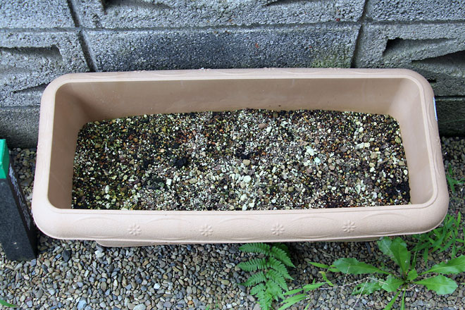 f:id:takahikonojima:20190907083457j:plain