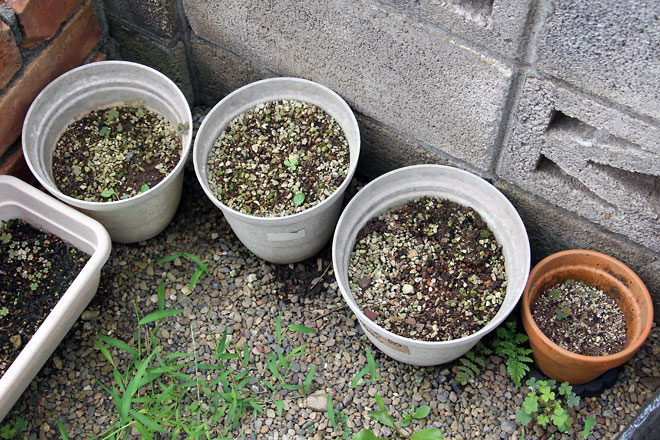 f:id:takahikonojima:20190907083502j:plain