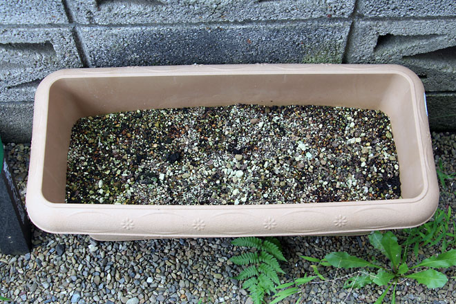 f:id:takahikonojima:20190907083507j:plain