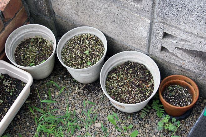 f:id:takahikonojima:20190907083523j:plain