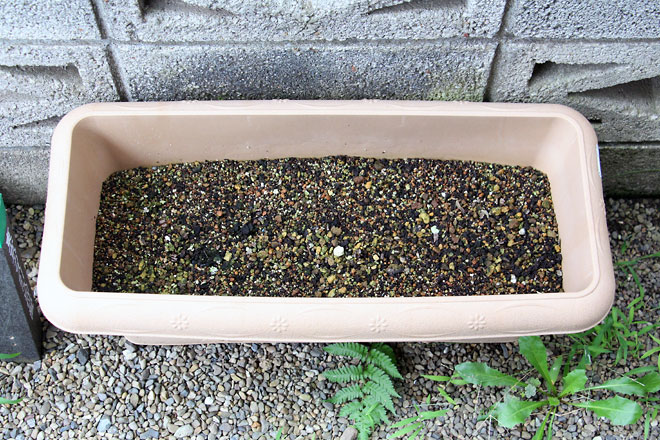 f:id:takahikonojima:20190907083528j:plain