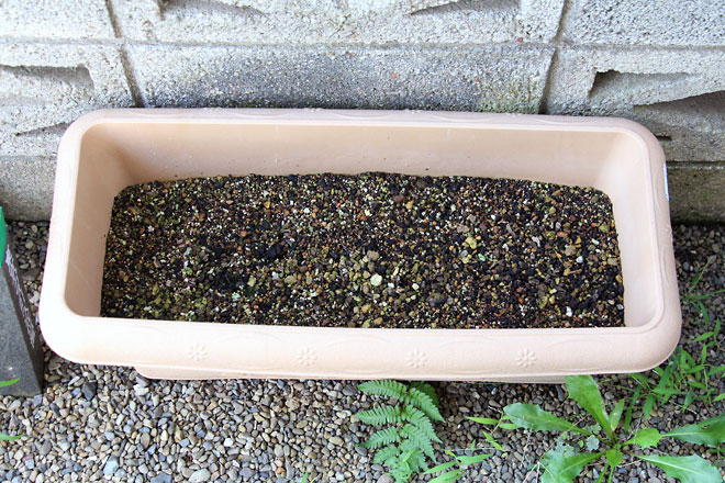 f:id:takahikonojima:20190907083538j:plain