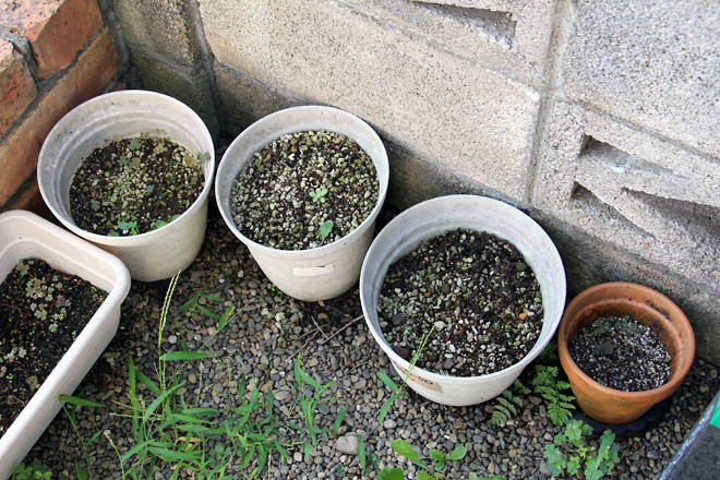 f:id:takahikonojima:20190907083545j:plain