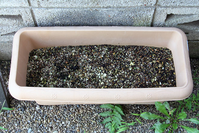 f:id:takahikonojima:20190907083550j:plain