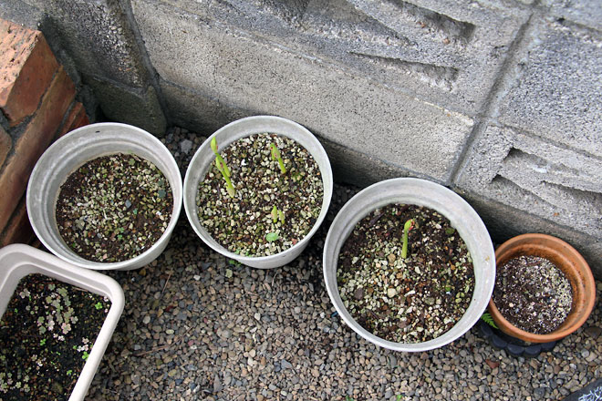 f:id:takahikonojima:20190928110930j:plain