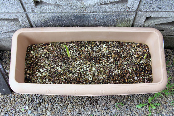 f:id:takahikonojima:20190928110944j:plain