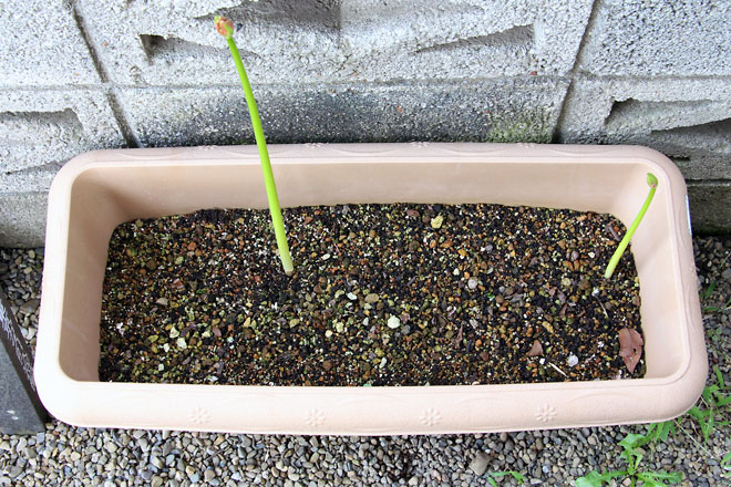 f:id:takahikonojima:20190928111117j:plain