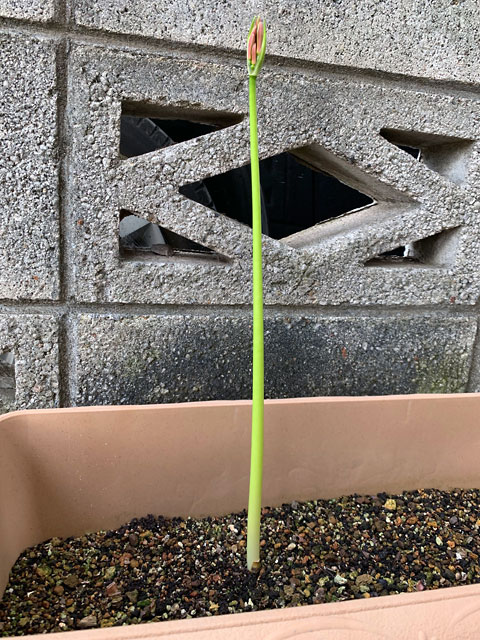 f:id:takahikonojima:20190928111128j:plain