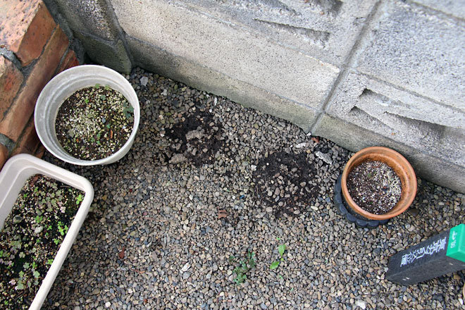 f:id:takahikonojima:20191008080047j:plain