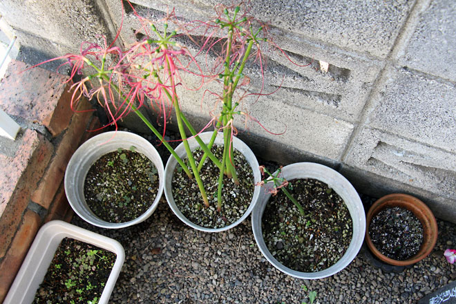 f:id:takahikonojima:20191008080221j:plain