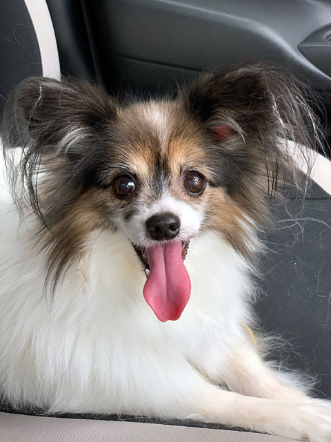 f:id:takahikonojima:20191011162859j:plain