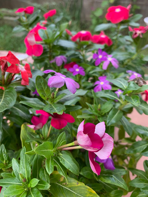 f:id:takahikonojima:20191011163037j:plain